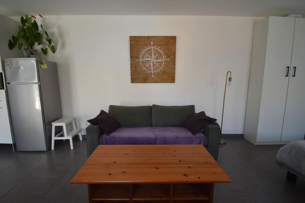 Grand Studio Independant Avec Jardin Goussainville  Eksteriør billede